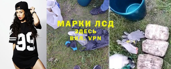 молекула духа Белокуриха