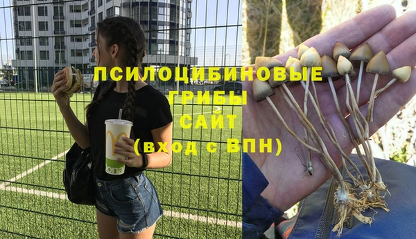 молекула духа Белокуриха