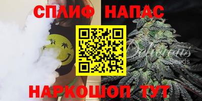 дмт Кинель