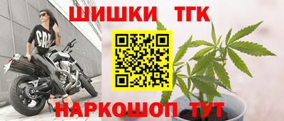 МДПВ Кингисепп