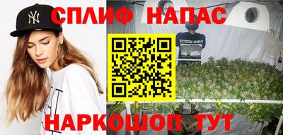 МДПВ Кингисепп