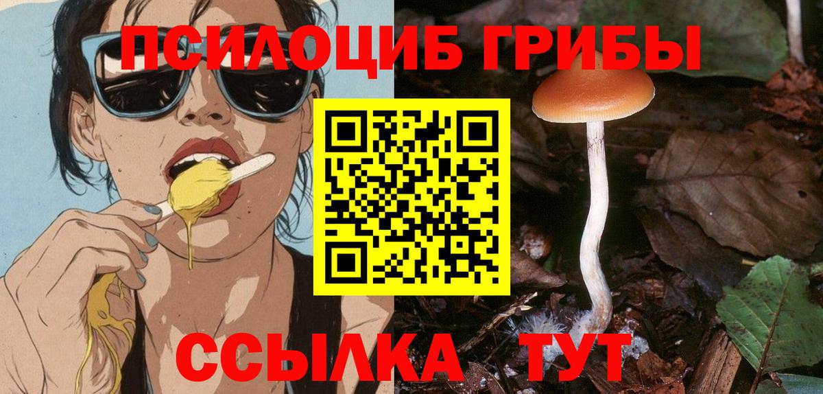 Надым  Галлюциногенные грибы Psilocybe  Вход с VPN  Галлюциногенные грибы GOLDEN TEACHER 